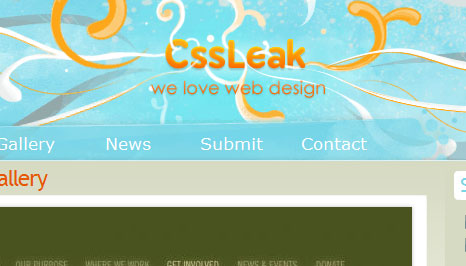 cssleak.com