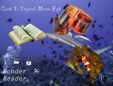 Guide To Tropical Marine Fish